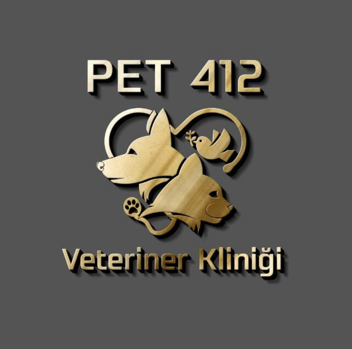 Pet412 Veteriner Kliniği